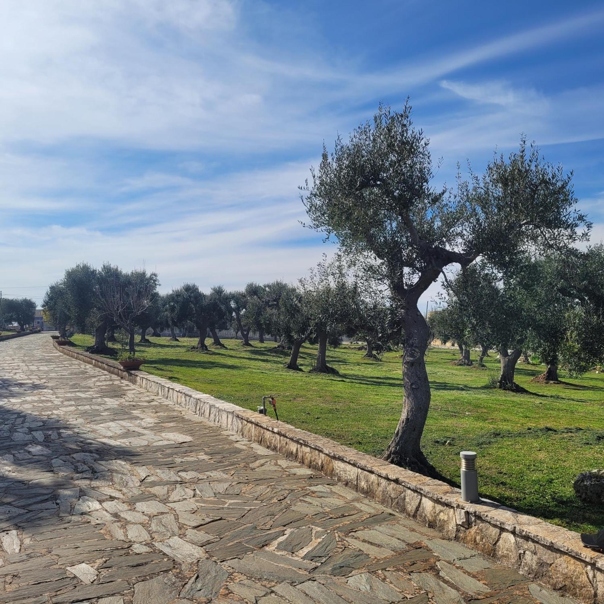 Terracielomare Apartments Monopoli Zewnętrze zdjęcie